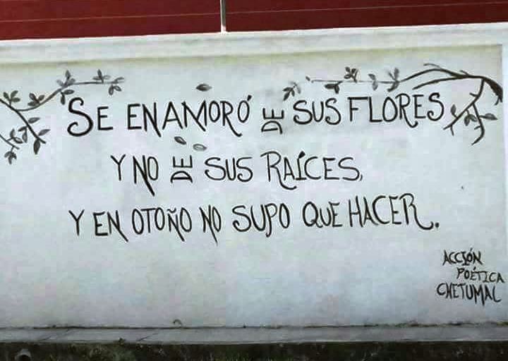 imagen Desde  Evang  domingo 30 julio