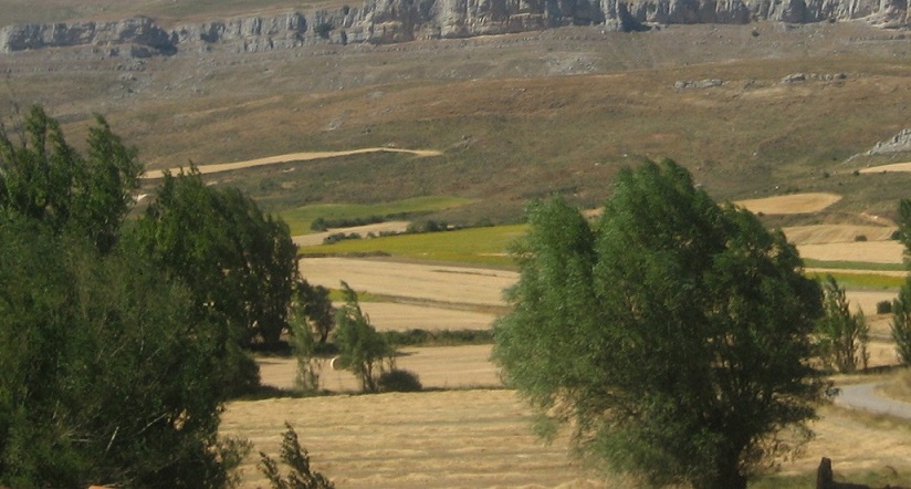 imagen Desde  Evang  domingo 17 Junio